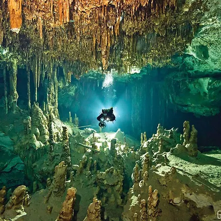 The Yellow Nest Tulum-3